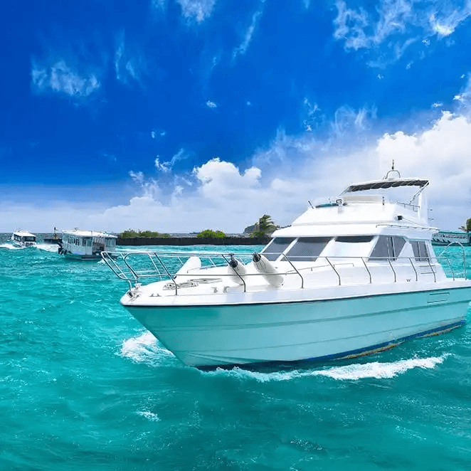 Watersports activities on Sydney Harbour